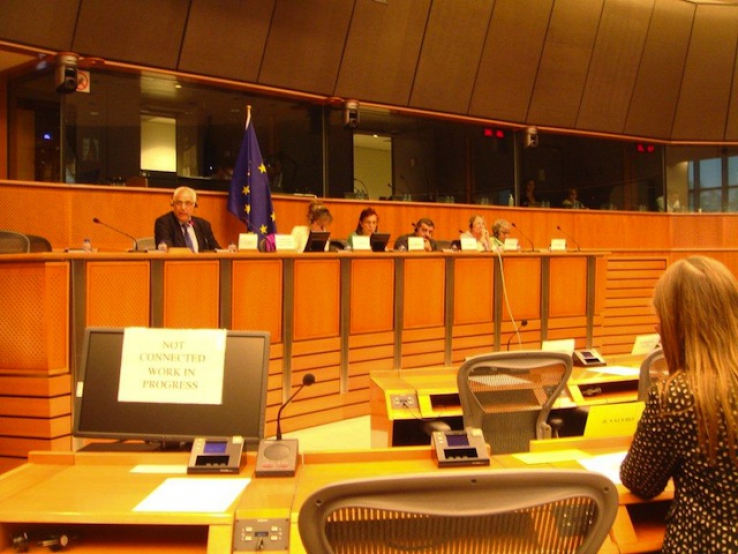 EU Parliament: Exchange of views with PalMed Europe on Humanitarian Medical Help in Palestine
